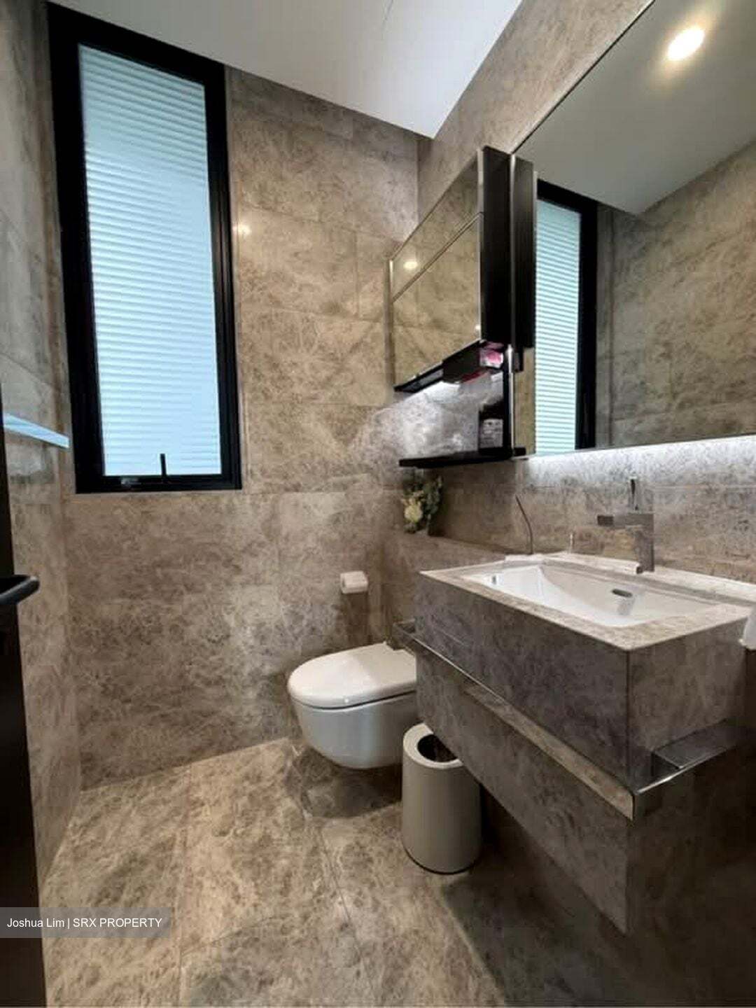 Martin Modern (D9), Condominium #595183211